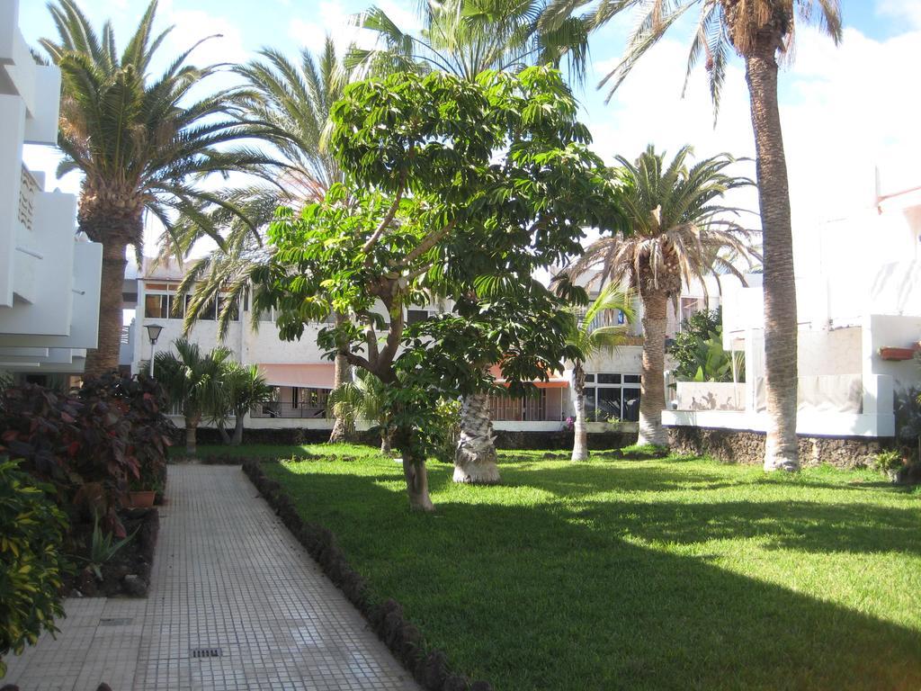 Elana Apartment With Free Wifi Costa Del Silencio Exterior foto